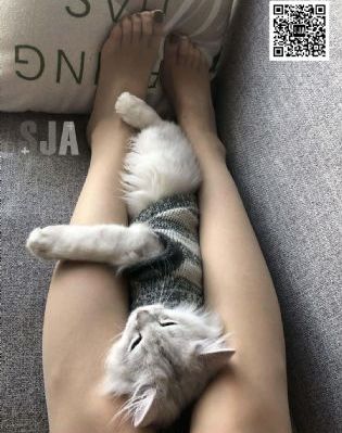 电影首发_4K电影免费在线