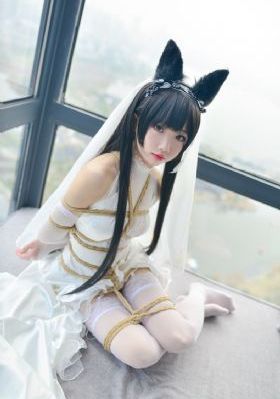 九重紫电视剧免费观看全部_BT种子下载